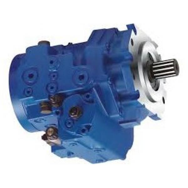 2002 DT466E LUK Hydraulic Power Steering Pump 2005337C91 163 BAR 2107611 OEM