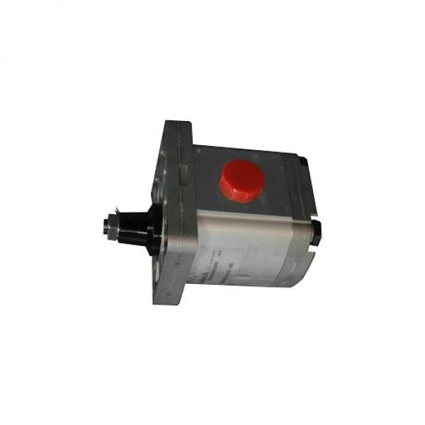 134A7-10301 Pompa idraulica pompa ad ingranaggi per TD27 FD20-30T7 MOTORE TCM carrello elevatore T3